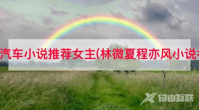 抖音汽车小说推荐女主(林微夏程亦风小说名字)