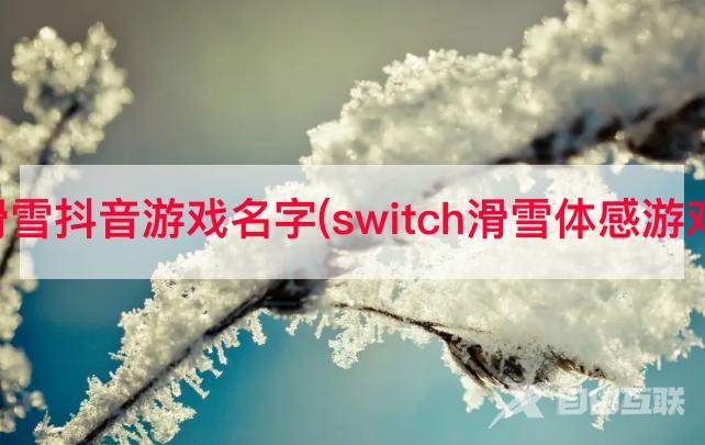 滑雪抖音游戏名字(switch滑雪体感游戏)