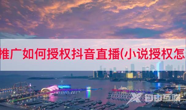 小说推广如何授权抖音直播(小说授权怎么弄)