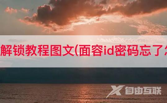 抖音面容解锁教程图文(面容id密码忘了怎么解锁)