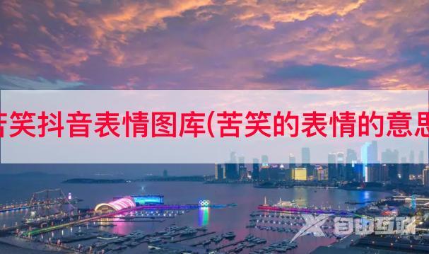 苦笑抖音表情图库(苦笑的表情的意思)