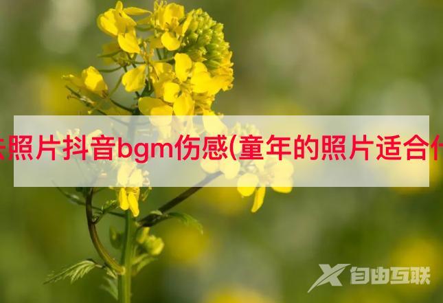 回忆过去照片抖音bgm伤感(童年的照片适合什么音乐)