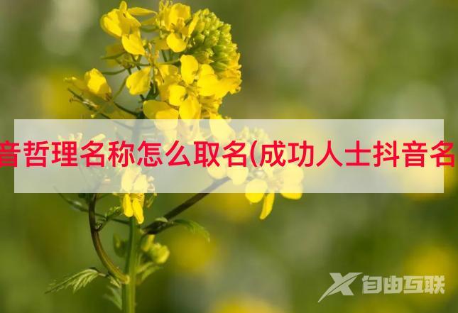 抖音哲理名称怎么取名(成功人士抖音名字)