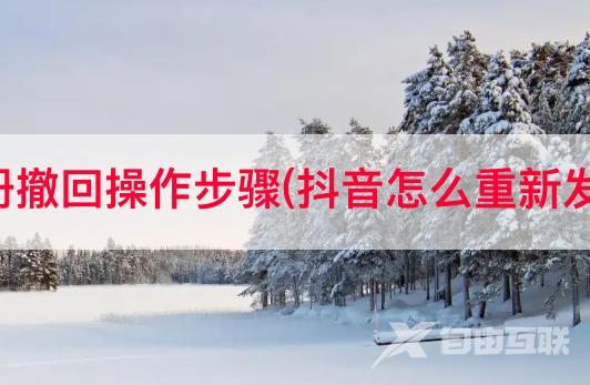 抖音账号注册撤回操作步骤(抖音怎么重新发起认证流程)