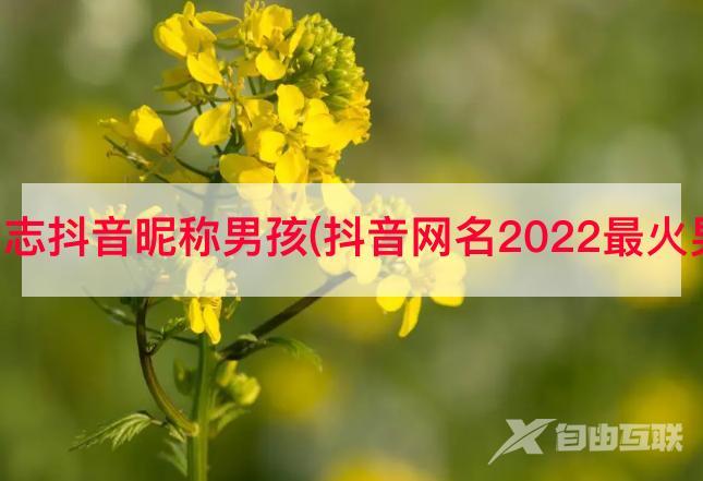 开心励志抖音昵称男孩(抖音网名2022最火男网名)