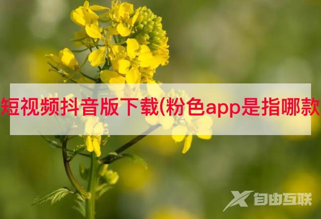 粉色短视频抖音版下载(粉色app是指哪款app)