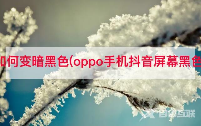 抖音背景如何变暗黑色(oppo手机抖音屏幕黑色怎么设置)