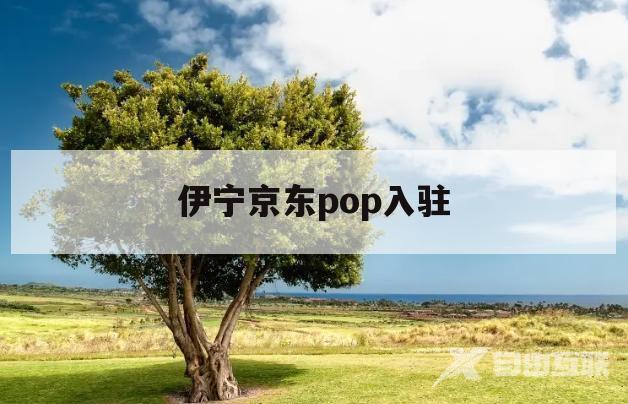 伊宁京东pop入驻(京东pop平台四种合作模式的入驻要求)