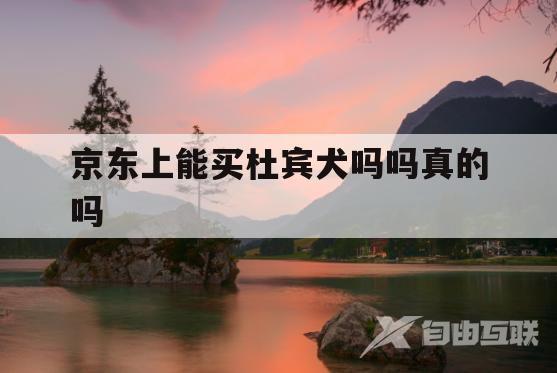 京东上能买杜宾犬吗吗真的吗(京东上能买杜宾犬吗吗真的吗可信吗)