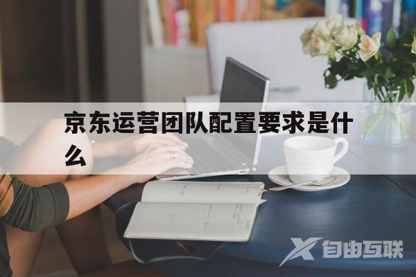 京东运营团队配置要求是什么(京东运营团队配置要求是什么样的)