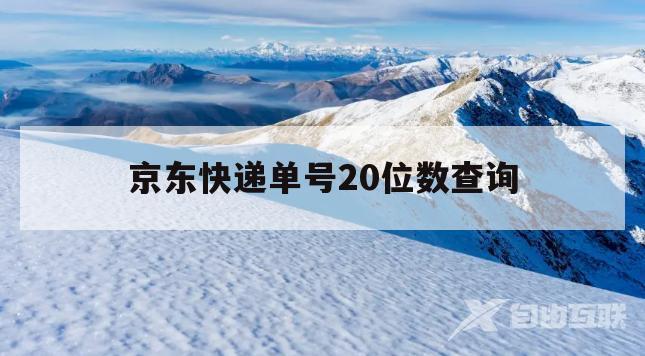 京东快递单号20位数查询(京东快递单号20位数查询官网)