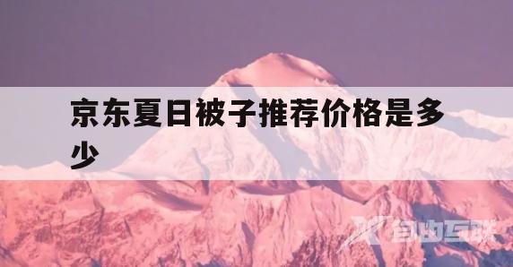 京东夏日被子推荐价格是多少(京东夏日被子推荐价格是多少啊)