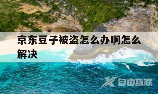 京东豆子被盗怎么办啊怎么解决(京东豆子被盗怎么办啊怎么解决呢)