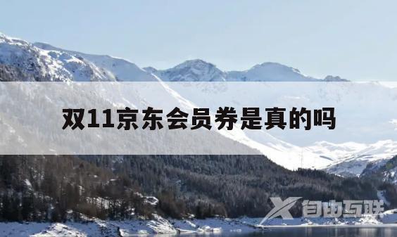 双11京东会员券是真的吗(双11京东会员券是真的吗还是假的)