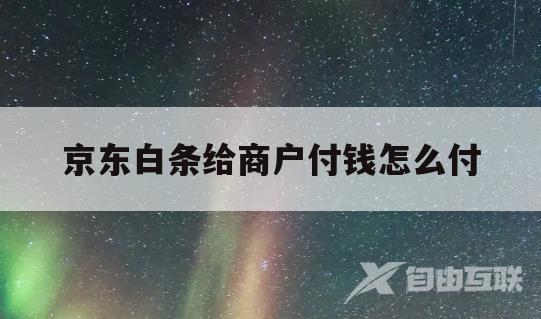 京东白条给商户付钱怎么付(京东白条给商户付钱怎么付的)