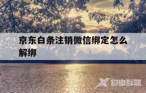 京东白条注销微信绑定怎么解绑的简单介绍