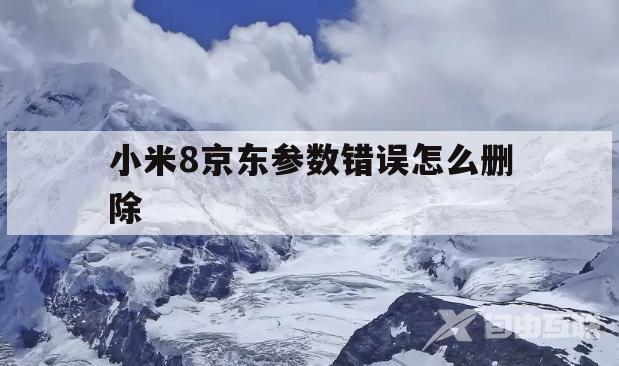 小米8京东参数错误怎么删除(小米8京东参数错误怎么删除不了)