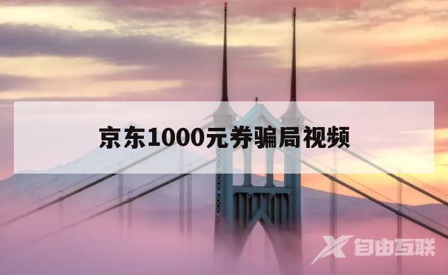 京东1000元券骗局视频(京东1000元券骗局视频播放)