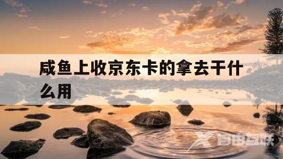 咸鱼上收京东卡的拿去干什么用的简单介绍