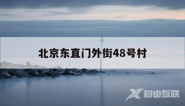 北京东直门外街48号村(北京东直门外街48号村拆迁)