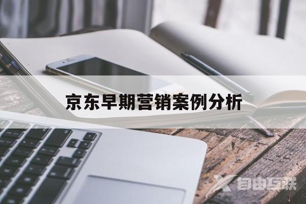 京东早期营销案例分析(京东精准营销的典型案例)