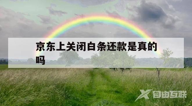 京东上关闭白条还款是真的吗(京东上关闭白条还款是真的吗吗)