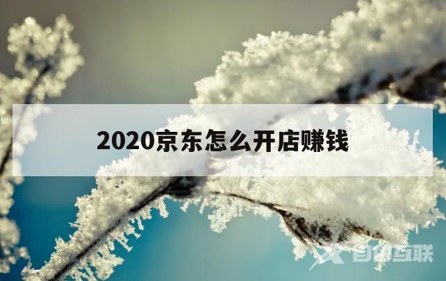 2020京东怎么开店赚钱(2020京东开店流程及费用)