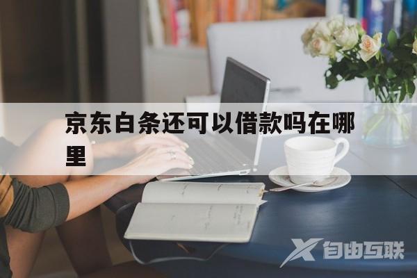 京东白条还可以借款吗在哪里(京东白条刚借款可以直接还进去吗)