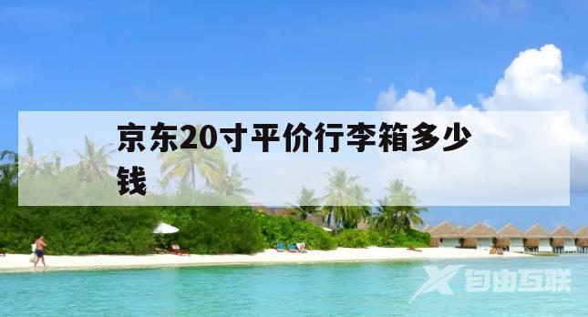 京东20寸平价行李箱多少钱(京东20寸平价行李箱多少钱一个)