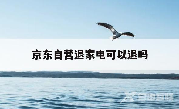 京东自营退家电可以退吗(京东自营退家电可以退吗多少钱)