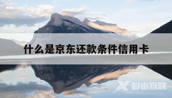 什么是京东还款条件信用卡(京东金融还信用卡收费新规定)