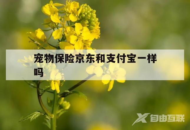 宠物保险京东和支付宝一样吗(宠物保险京东和支付宝一样吗可靠吗)