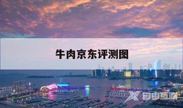 牛肉京东评测图(京东商城网上购物牛肉)