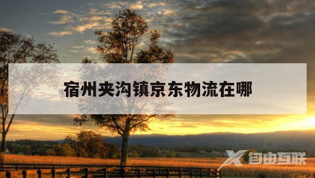 宿州夹沟镇京东物流在哪(宿州夹沟镇京东物流在哪里)