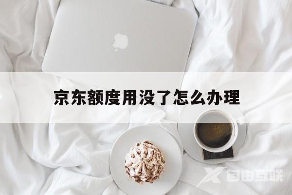 京东额度用没了怎么办理(京东为什么有额度用不了了)