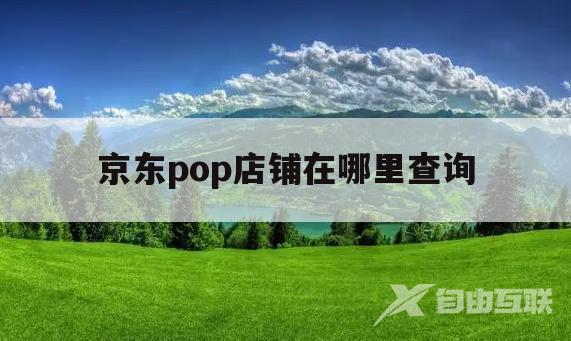 京东pop店铺在哪里查询(京东官方旗舰店是pop店嘛)