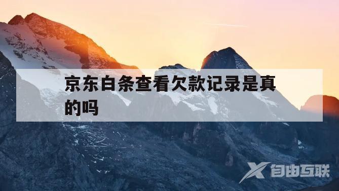 京东白条查看欠款记录是真的吗(京东白条查看欠款记录是真的吗安全吗)