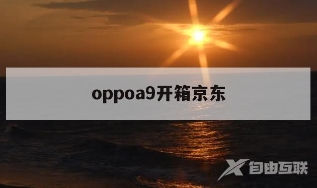 oppoa9开箱京东(OPPOA9中关村在线)