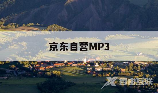 京东自营MP3(京东自营是什么意思)