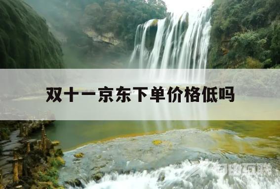 双十一京东下单价格低吗(京东双十一价格比平时还贵)