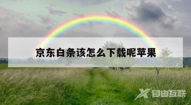 京东白条该怎么下载呢苹果(京东白条该怎么下载呢苹果版)