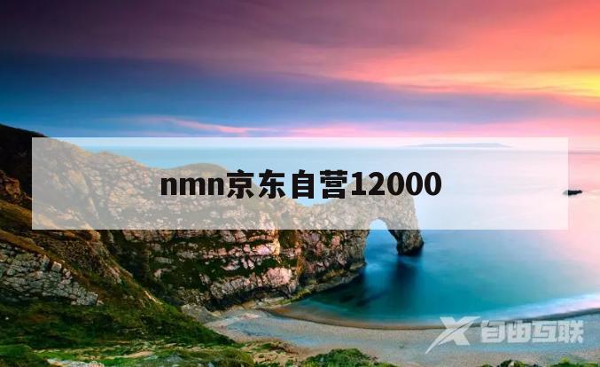 nmn京东自营12000(nmn 12000多少钱一瓶)