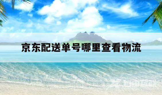 京东配送单号哪里查看物流(京东配送单号哪里查看物流单号)