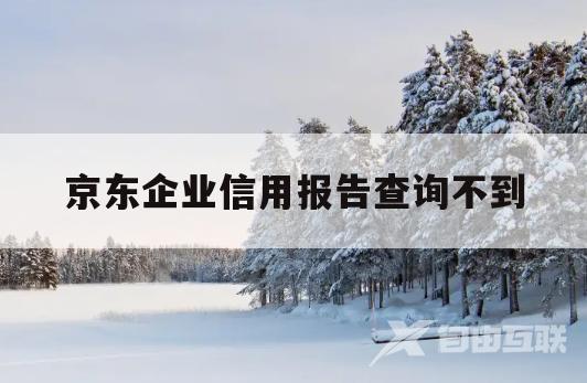 京东企业信用报告查询不到(京东企业信用报告查询不到怎么回事)