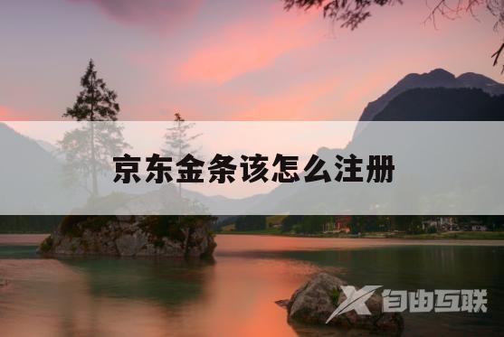 京东金条该怎么注册(京东金条该怎么注册账户) 京东金条该怎么注册(京东金条该怎么注册账户)