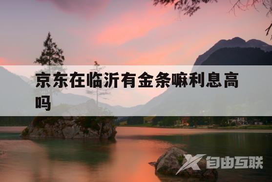 京东在临沂有金条嘛利息高吗(京东在临沂有金条嘛利息高吗知乎)