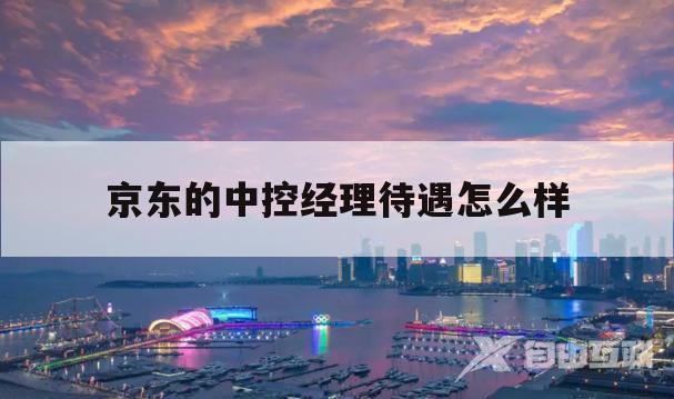 京东的中控经理待遇怎么样(京东的中控经理待遇怎么样知乎)