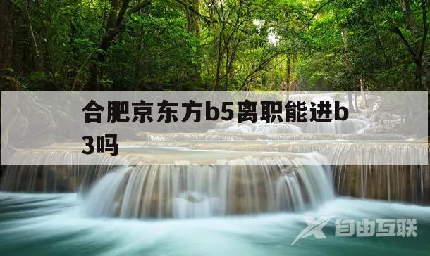 合肥京东方b5离职能进b3吗(合肥京东方b3和B5什么时候成立的)