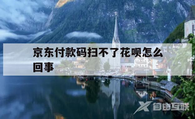 京东付款码扫不了花呗怎么回事(京东付款码扫不了花呗怎么回事儿)