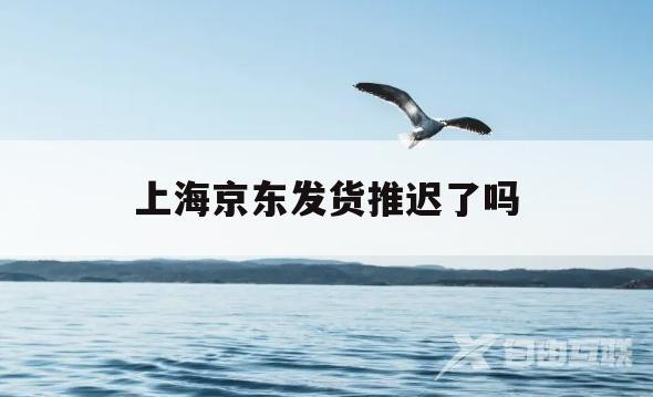 上海京东发货推迟了吗(上海京东发货推迟了吗现在)